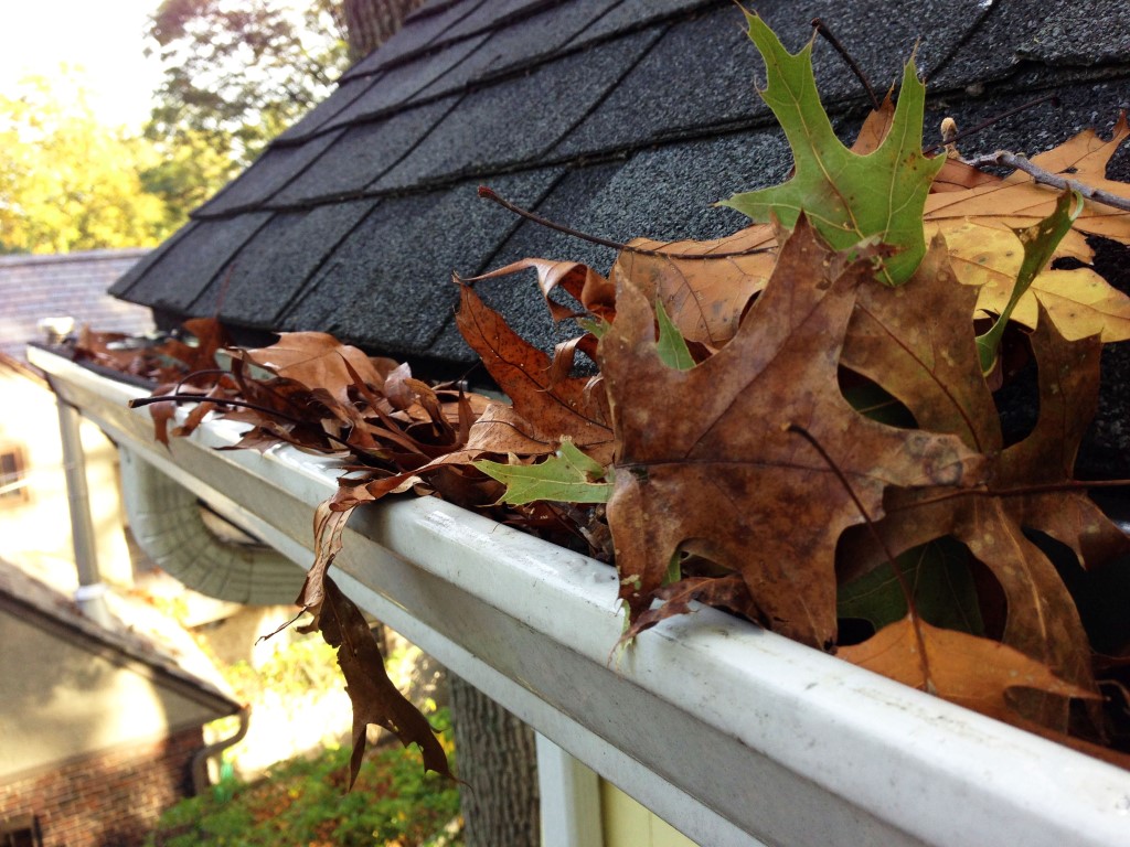 Gutter Cleaning Maryland